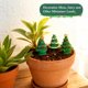 thumbnail image 4 of KAKOWELY 30Ud Micropaisaje En Resina Verde Para Oficina Y Hogar, 4 of 7