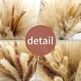 thumbnail image 2 of 30 Pcs Reed 17”(Brown&White) ,30 PcsHorsetail Whisk for Vase Flower Arrangement Wedding Kitchen Home Decor, 2 of 4