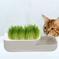 thumbnail image 1 of OULII 1Pack Seed Growth Cat Grass Planter For Cats 11.4x3.7in, 1 of 7