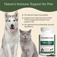 thumbnail image 4 of Supplement Real Mushrooms Support pour Animaux Queue de Dinde 90 Capsules, 4 of 8