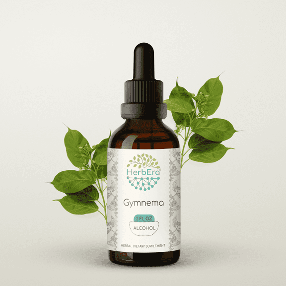 HerbEra Gymnema Tincture, Herbal Dietary Supplement for Sugar Metabolism Support, Gymnema (Gymnema sylvestre) Dried Leaf Extract, Natural, Alcohol Tincture, Drops 2 oz