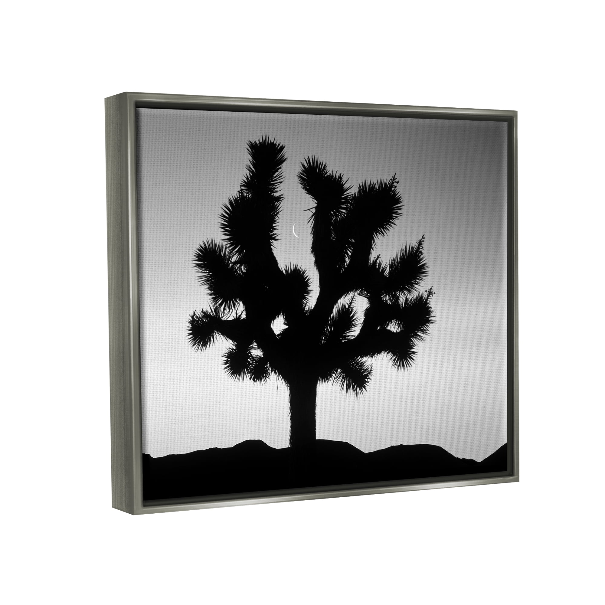 Stupell Industries Monochrome Moonlit Desert Tree Landscape Photography Gray Floater Framed Art Print Wall Art