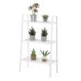 thumbnail image 2 of Convenience Concepts 168030W Designs2Go Support de Plante en Métal à 3 Niveaux, Blanc, 2 of 2