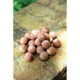 thumbnail image 5 of Cedar Balls - Absorb moisture and Eliminate Odors (Set of 24) by International Hanger, 5 of 5