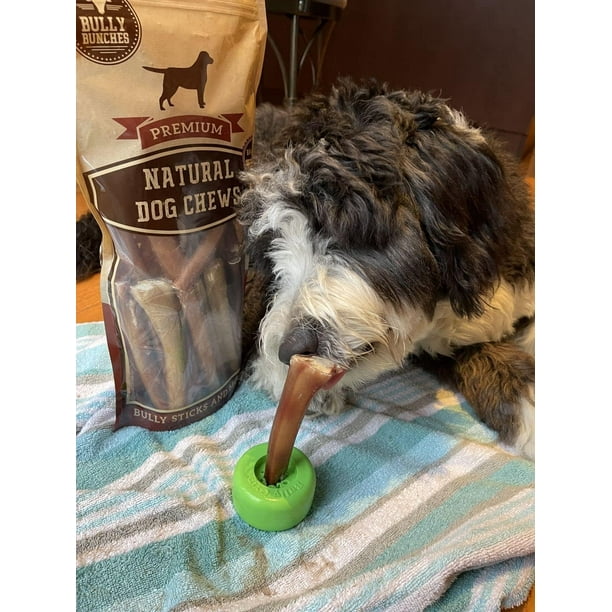 Safe long lasting chews for best sale dogs