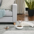 thumbnail image 2 of Sam's Pets Short Tulip Pet Bowl In Glossy White, 2 of 5