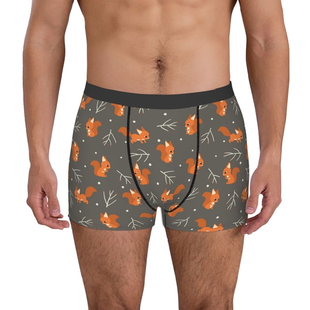 Fotbe cute fall fox leaf Calzoncillos Tipo Boxer con Bolsa de Soporte Total para Hombre, X-Temp Fresco, Transpirable y de Secado Rápido-Small