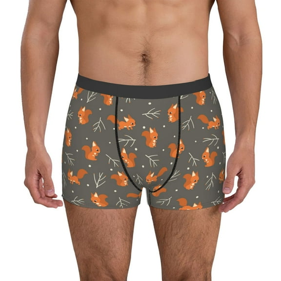 Vsdgher cute fall fox leaf Pattern Men's Boxer Brief Underwear,Soft Funny Underwear for Men-Small