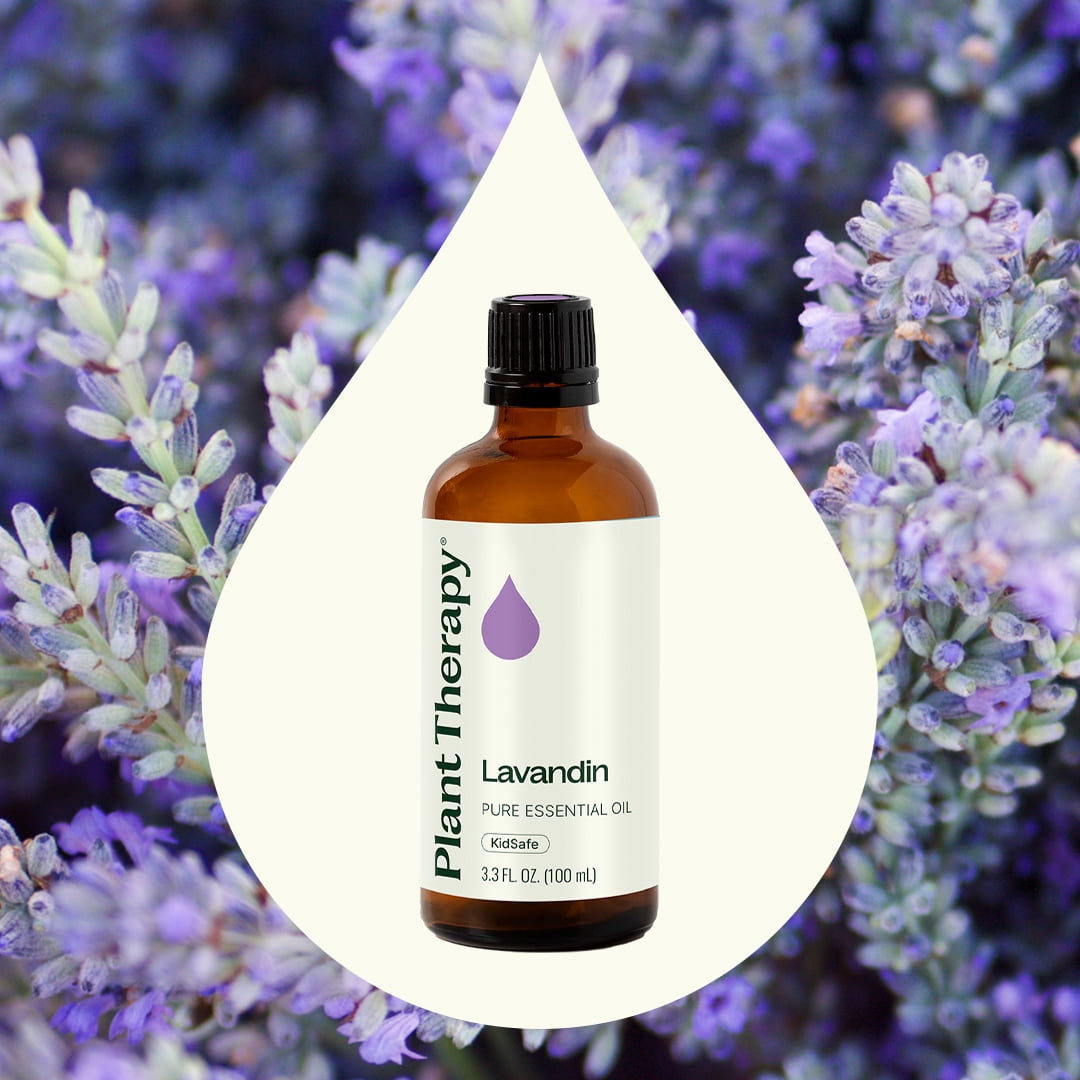 Plant Therapy Lavandin Essential Oil 100 mL (3.3 oz) 100% Pure, Undiluted, Natural Aromatherapy