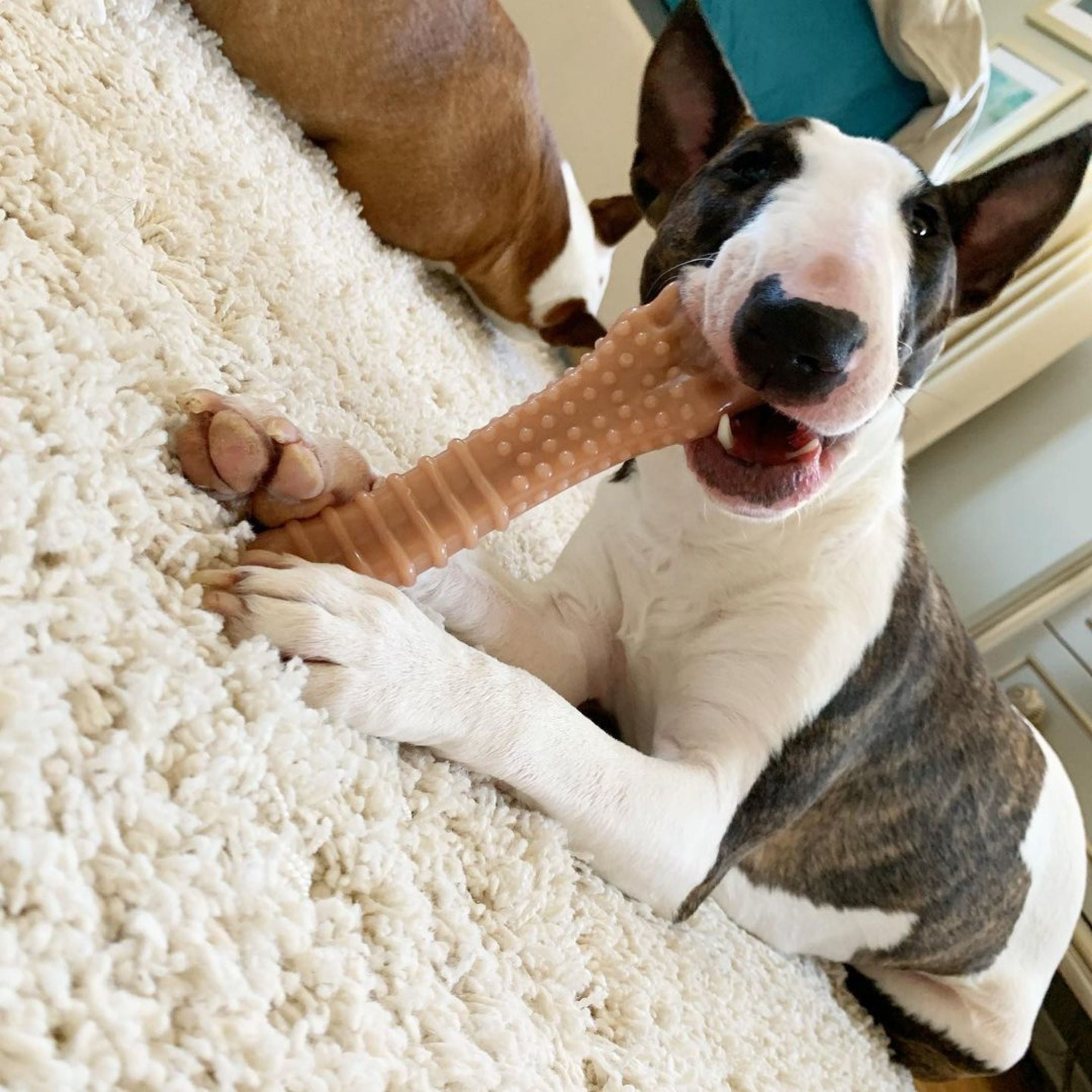 Nylabone Power Chew Textured Knuckle Bone Dog Toy, Dog Chew Toy, Original & Bacon Flavor, X-Large, 2 Pack