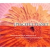 Peaceful Planet: Musical Journeys Into Th Meditative Souls Of Spain, India, Zimbabwe And South America