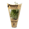 Thyme Ca