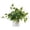 G, variant on Artificial Pothos Plants with Pots, Realistic Hanging Plants in Plastic Pots, Indoor and Outdoor Decor for Home, Shelves, Bathrooms, Kitchens, and Desktop Floral Arrangements