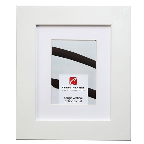 Craig Frames 74267 24x32 inch Satin White Picture Frame Matted for a 20x28 Photo