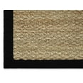 Chesapeake Seagrass Area Rug with Black Border (24"x36")