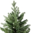 thumbnail image 3 of Northlight Real Touch™️ Mixed Eden Pine Artificial Christmas Tree - Unlit - 7', 3 of 8