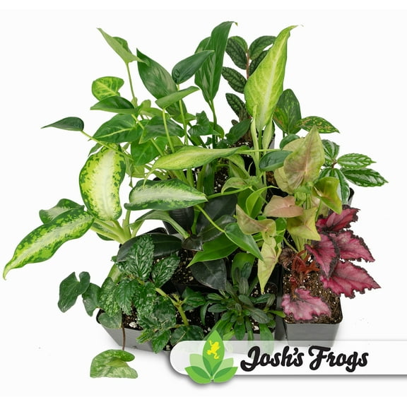 Josh's Frogs Foliage Plant Bundle 5-Pack