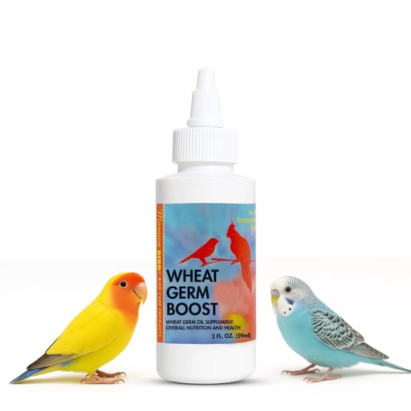 Morning Bird Wheat Germ Boost 2 Fl Oz, Organic Oil for Caged Birds, All Natural Supplement for Parakeets, Budgies, Parrots, Canaries, Conures, Cockatiels, and Finches