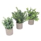 thumbnail image 4 of Plantas artificiales ANGGREK eucalipto en maceta de plástico ecológico paquete de 3, 4 of 7