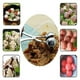 thumbnail image 5 of pinzas para hacer bolas de carne de acero inoxidable, herramientas de cocina, 2 unidades, 5 of 5