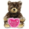 DolliBu Happy Mother's Day Super Soft Plush Cute Sitting Grizzly Bear - 6.5 inch