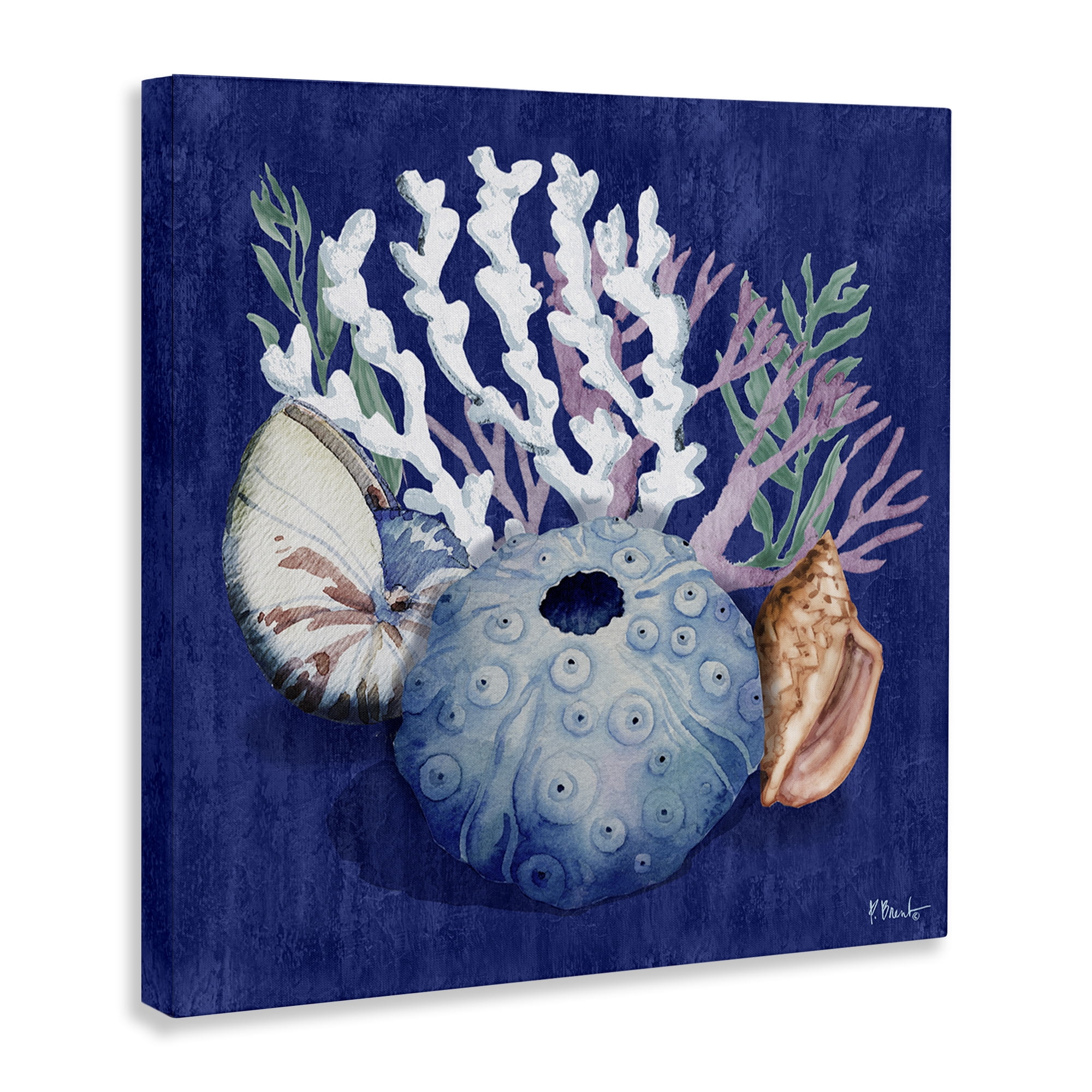 Stupell Industries Sea Urchin & Coral Coastal Painting Gallery Wrapped Canvas Art Print Wall Art, 17 x 17