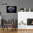 thumbnail image 6 of Epic Art 'Asteroid,' Acrylic Glass Wall Art, 24"x16", 6 of 9