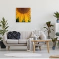 thumbnail image 2 of Stupell Industries Water Droplets Sunflower Nature Botanical & Floral Photography Gallery Wrapped Canvas Print Wall Art, 2 of 7