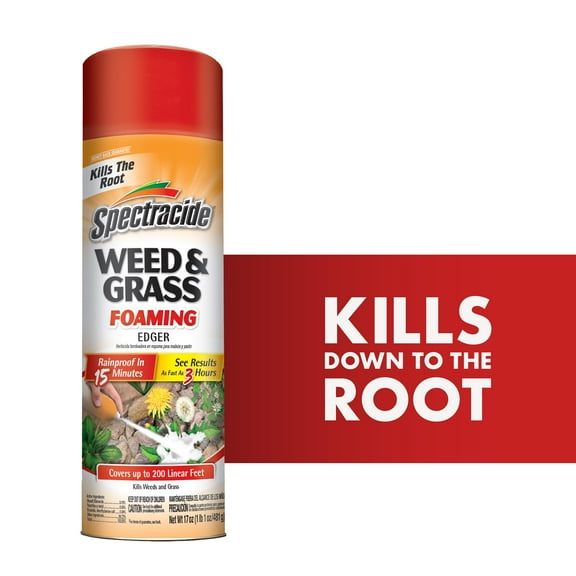 Spectracide Weed And Grass Foaming Edger Aerosol, For Edging Along Yards, 17 Ounces