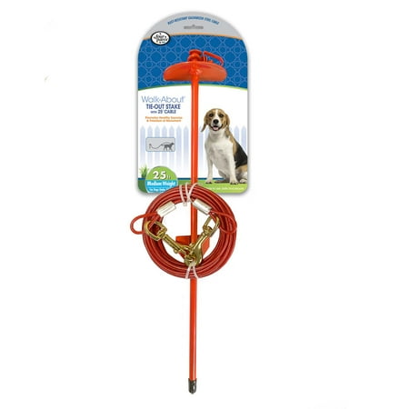 Four Paws Roam About Dog Tie Out Stake (Pack of 1)