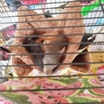 thumbnail image 2 of Rodent Hammock For Rats, Hamsters, Chinchillas And Squirrels, 2 of 5