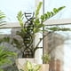 thumbnail image 4 of Enrejado de plantas DIY enrejado de escalada enrejado de jardín macetas soporte para macetas Negro 40cm, 4 of 8
