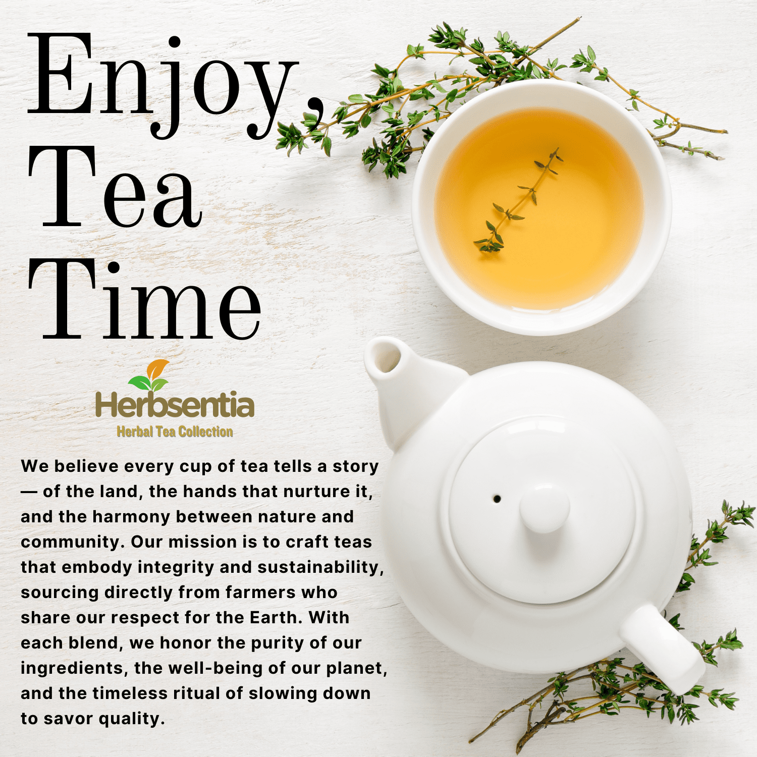 Insulin Plant Herbal Tea – 20 Tea Bags | 100% Costus igneus Leaf | Naturally Caffeine-Free | Herbsentia