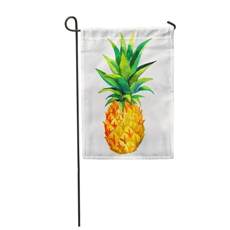 SIDONKU Green Single Juicy Pineapple White Watercolor of Tropical Fruit Garden Flag Decorative Flag House Banner 12x18 inch