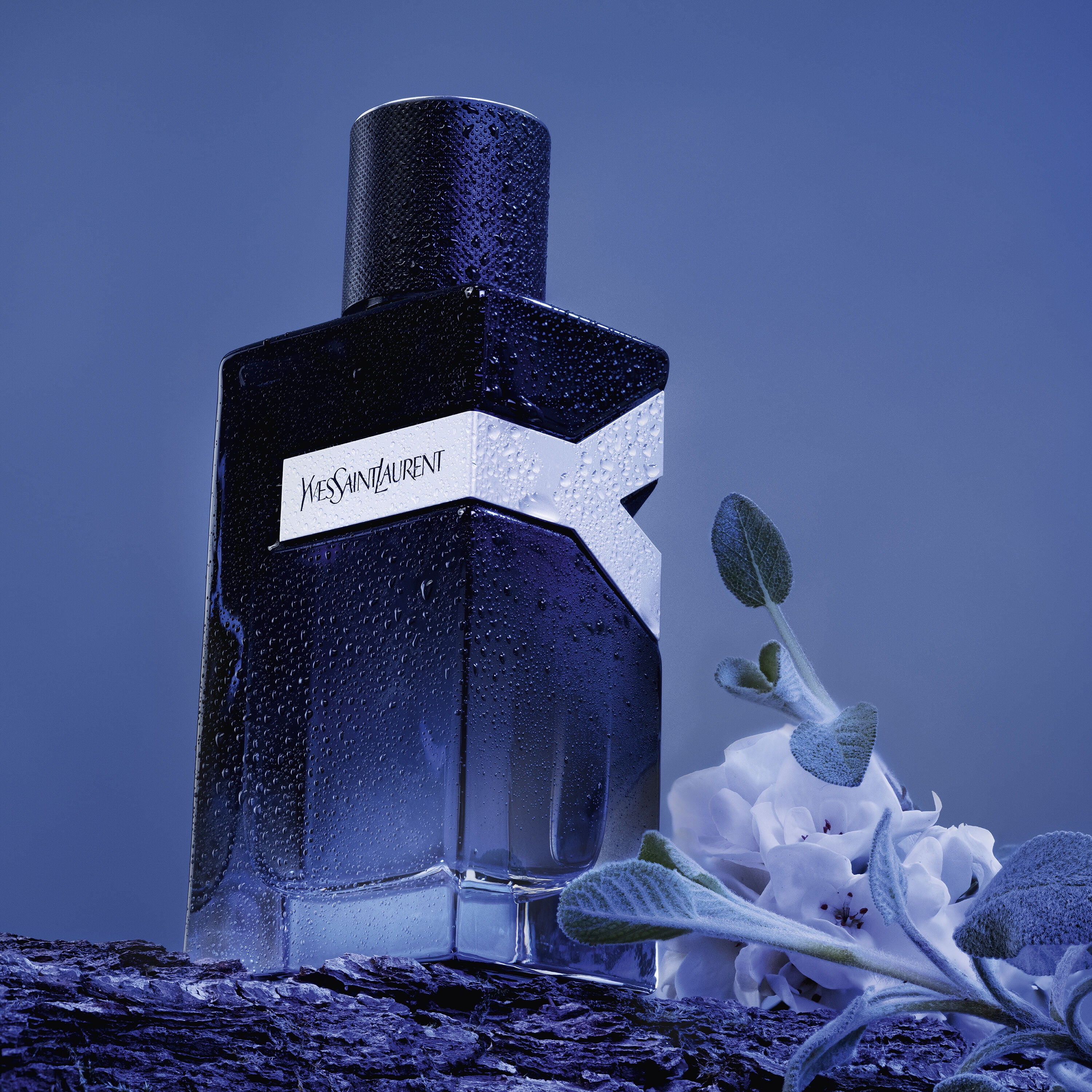  Yves Saint Laurent YSL Y Men Perfume INTENSE Parfum mini  splash on SMALL TRAVEL SIZE 7.5 ml / 0.25 Fl oz : Beauty & Personal Care