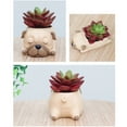 thumbnail image 4 of Chidian Dog Flowerpot Resin Succulent Planter Decorative Flower Pot Desk Mini Ornament (Pug), 4 of 5