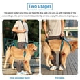 thumbnail image 2 of Dog Support Harness - Full Body Dog Lift Harness with Handle & Shoulder Sling - Great for Elderly Dogs with Joint Injuries, Arthritis, Paralysis, Hip Dysplasia, ACL Surgery, Help Them Up Harness, 2 of 9
