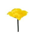 thumbnail image 2 of Flower Shaped Pollinator Waterer Feeder With Metal Stake Outdoor Garden Decor Butterfly Hummingbird Feeder For Yard Backyard Patio Insect Waterer, 2 of 6