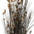 thumbnail image 3 of Vickerman 36-40" Long Stem Bell Grass with Natural Colored Seed Pods, 2 per pack, Preserved, 3 of 5