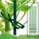 thumbnail image 5 of Paquete de 30 Estacas de Soporte para Plantas, Estacas para Plantas de Soporte para Plantas de un Solo Tallo de JardíN, Soporte para Plantas, Palos para Plantas, 5 of 5