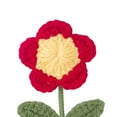thumbnail image 6 of Esquirla Handmade Crochet Flower Hand Knitted Flower Mini Potted Rustic Handmade Kintting Flower for Birthday Gift Shelf Table Kitchen Small Red Flower, 6 of 7