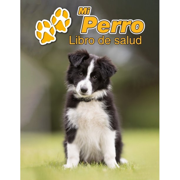 Mi Perro Libro De Salud Border Collie Cachorro 109 Paginas 22cm X 28cm Cuaderno Para Llenar Agenda De Vacunas Seguimiento Medico Visitas Veterinarias Diario De Un Perro Contactos Paperback Walmart Com