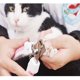 thumbnail image 3 of Cortaúñas para perros y gatos, tijeras de aseo de acero inoxidable, tijeras para uñas con cerradura, suministros para mascotas, 3 of 4