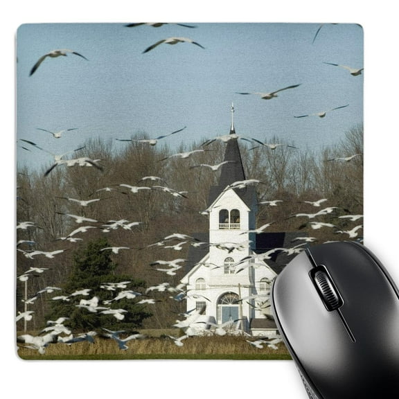 3dRose, WA, Skagit Valley, Masses of Snow Geese birds - US48 TDR0043 - Trish Drury, MousePad
