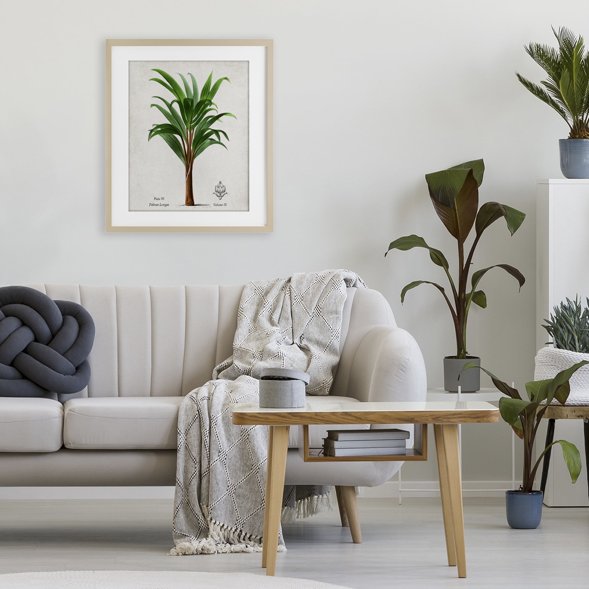 Stupell Industries Palmas Longas Palm Tree Birch Framed Print Under Glass, design by Val Rhodes