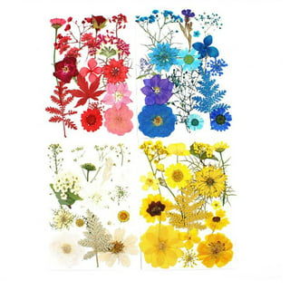 1 Dried Flowers for Resin , Natural Pressed Flowers Leaves for