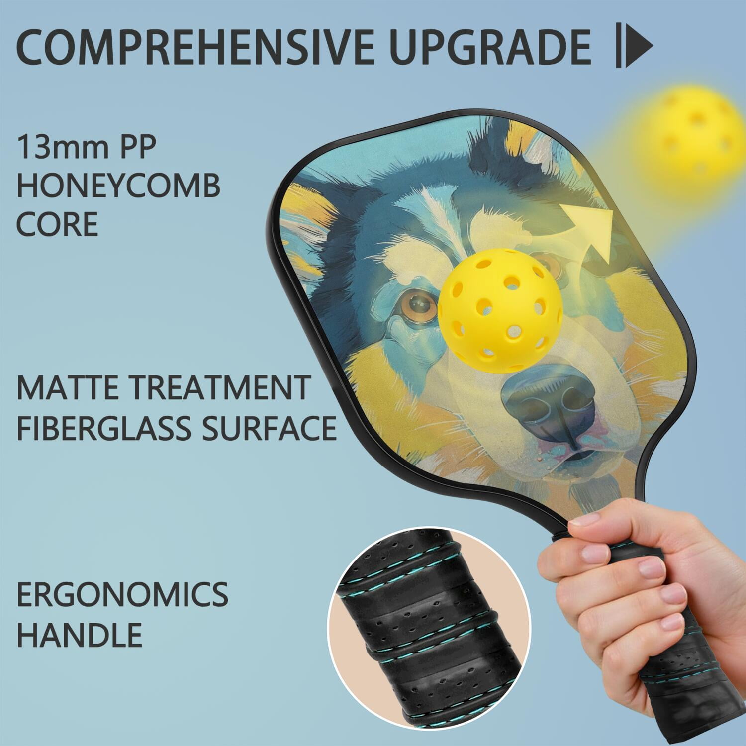Pickleball Paddles Set Of 2, Fiberglass Surface, Astonished Dog Print, 4 Balls & Bag