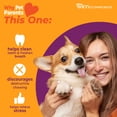thumbnail image 5 of Nylabone Strong Chew Antler Dog Toy, Dog Chew Toy, Made with Real Venison Flavor, Medium, 1 Count, 5 of 12