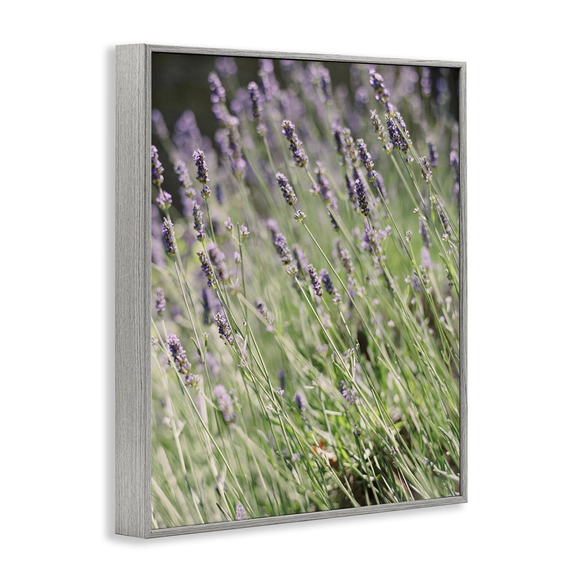 Stupell Industries Country Lilac Garden Botanical & Floral Photography Gray Framed Art Print Wall Art, 11 x 14