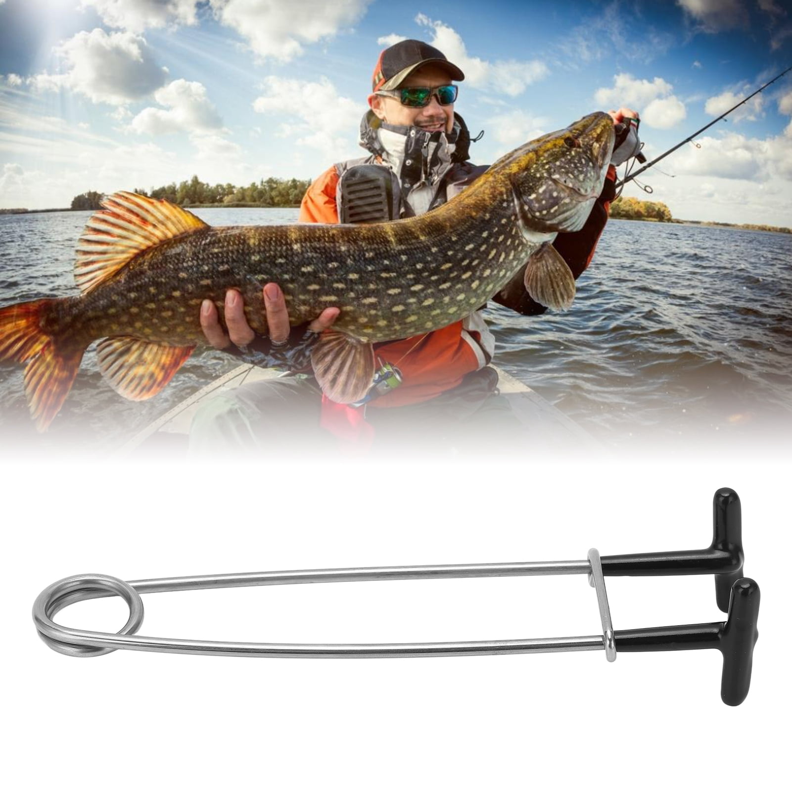 Épandeur De Bouche De Poisson En Acier Inoxydable De 17 Cm - Outil De